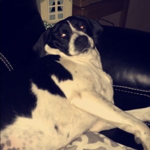 Meet your Posher, Marissa